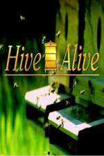 Watch Hive Alive Tvmuse