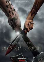 Watch The Witcher: Blood Origin Tvmuse