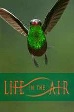 Watch Life in the Air Tvmuse
