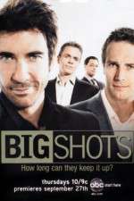 Watch Big Shots Tvmuse