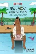 Watch BoJack Horseman Tvmuse