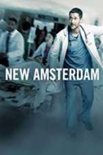 Watch New Amsterdam Tvmuse