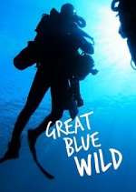 Watch Great Blue Wild Tvmuse