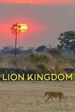 Watch Lion Kingdom Tvmuse