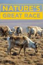 Watch Nature's Great Race Tvmuse