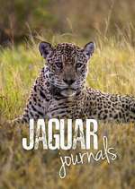 Watch Jaguar Journals Tvmuse