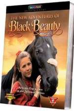 Watch The New Adventures of Black Beauty Tvmuse