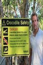 Watch Swimming With Crocodiles Tvmuse