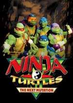 Watch Ninja Turtles: The Next Mutation Tvmuse