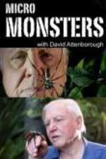 Watch Micro Monsters 3D with David Attenborough Tvmuse
