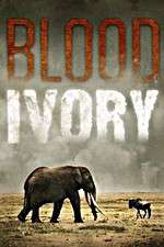 Watch Blood Ivory Tvmuse