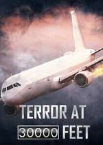Watch Terror at 30,000 Feet Tvmuse