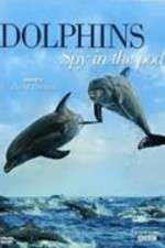 Watch Dolphins: Spy in the Pod Tvmuse