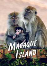 Watch Macaque Island Tvmuse