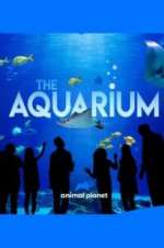Watch The Aquarium Tvmuse