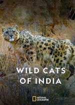 Watch Wild Cats of India Tvmuse