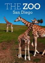 Watch The Zoo: San Diego Tvmuse