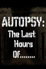 Watch Autopsy: The Last Hours Of... Tvmuse