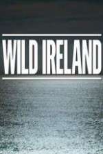 Watch Wild Ireland Tvmuse