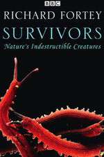 Watch Survivors: Nature's Indestructible Creatures Tvmuse