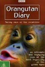 Watch Orangutan Diary Tvmuse