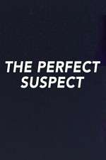 Watch The Perfect Suspect Tvmuse