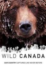 Watch Wild Canada Tvmuse