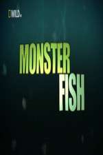 Watch National Geographic Monster Fish Tvmuse