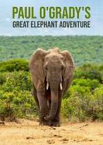 Watch Paul O'Grady's Great Elephant Adventure Tvmuse