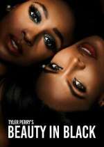 Watch Tyler Perry\'s Beauty in Black Tvmuse