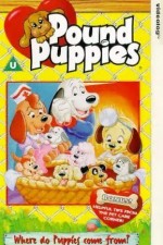 Watch Pound Puppies Tvmuse