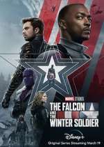 Watch The Falcon and The Winter Soldier Tvmuse