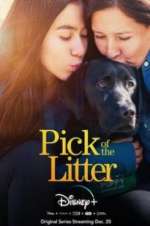 Watch Pick of the Litter Tvmuse