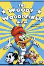 Watch The Woody Woodpecker Show Tvmuse