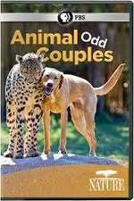 Watch Animal Odd Couples Tvmuse