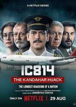 Watch IC 814: The Kandahar Hijack Tvmuse