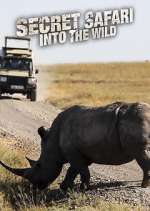 Watch Secret Safari: Into the Wild Tvmuse