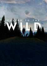 Watch Called to the Wild Tvmuse