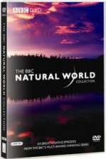 Watch The Natural World Tvmuse