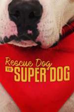 Watch Rescue Dog to Super Dog (US) Tvmuse