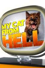 Watch My Cat from Hell Tvmuse