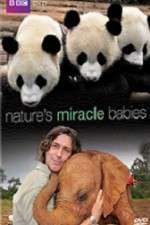 Watch Natures Miracle Babies Tvmuse