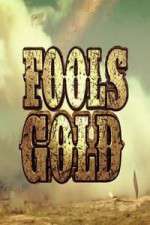 Watch Fool's Gold Tvmuse
