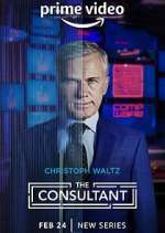 Watch The Consultant Tvmuse