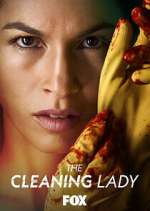 Watch The Cleaning Lady Tvmuse