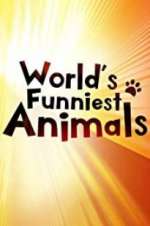 Watch The World\'s Funniest Animals Tvmuse