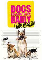 Watch Dogs Behaving (Very) Badly Australia Tvmuse