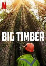 Watch Big Timber Tvmuse