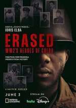 Watch Erased: WW2's Heroes of Color Tvmuse