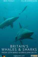 Watch Britain's Whales and Sharks Tvmuse